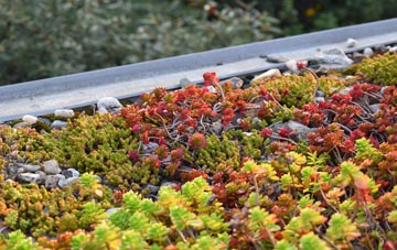 the cost of Pelaw green roof installation