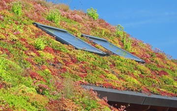 Pelaw living roof systems