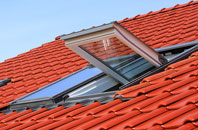 Pelaw roof window